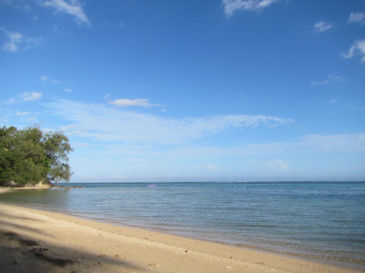 Namolevu Beach Bures Accommodation Coral Coast Eksteriør bilde